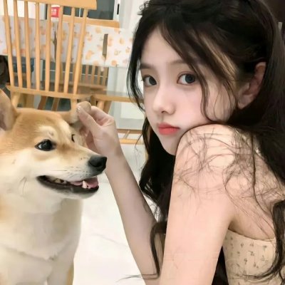 执法风云